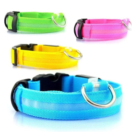 Rechargeable LED Glowing Collar - E-papuha.com