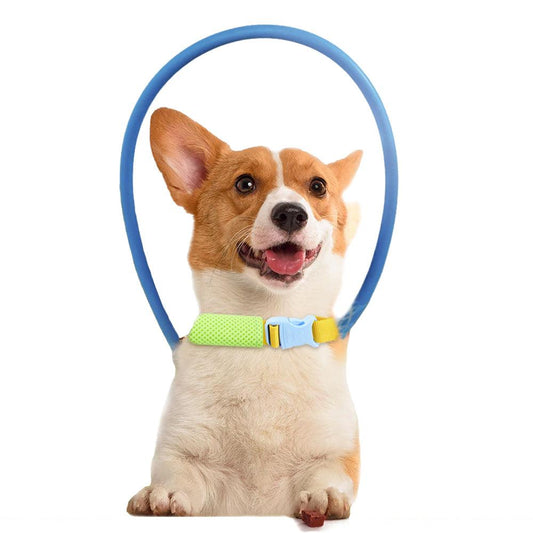 Blind Pet Anti-collision Harness with Protective Ring - E-papuha.com